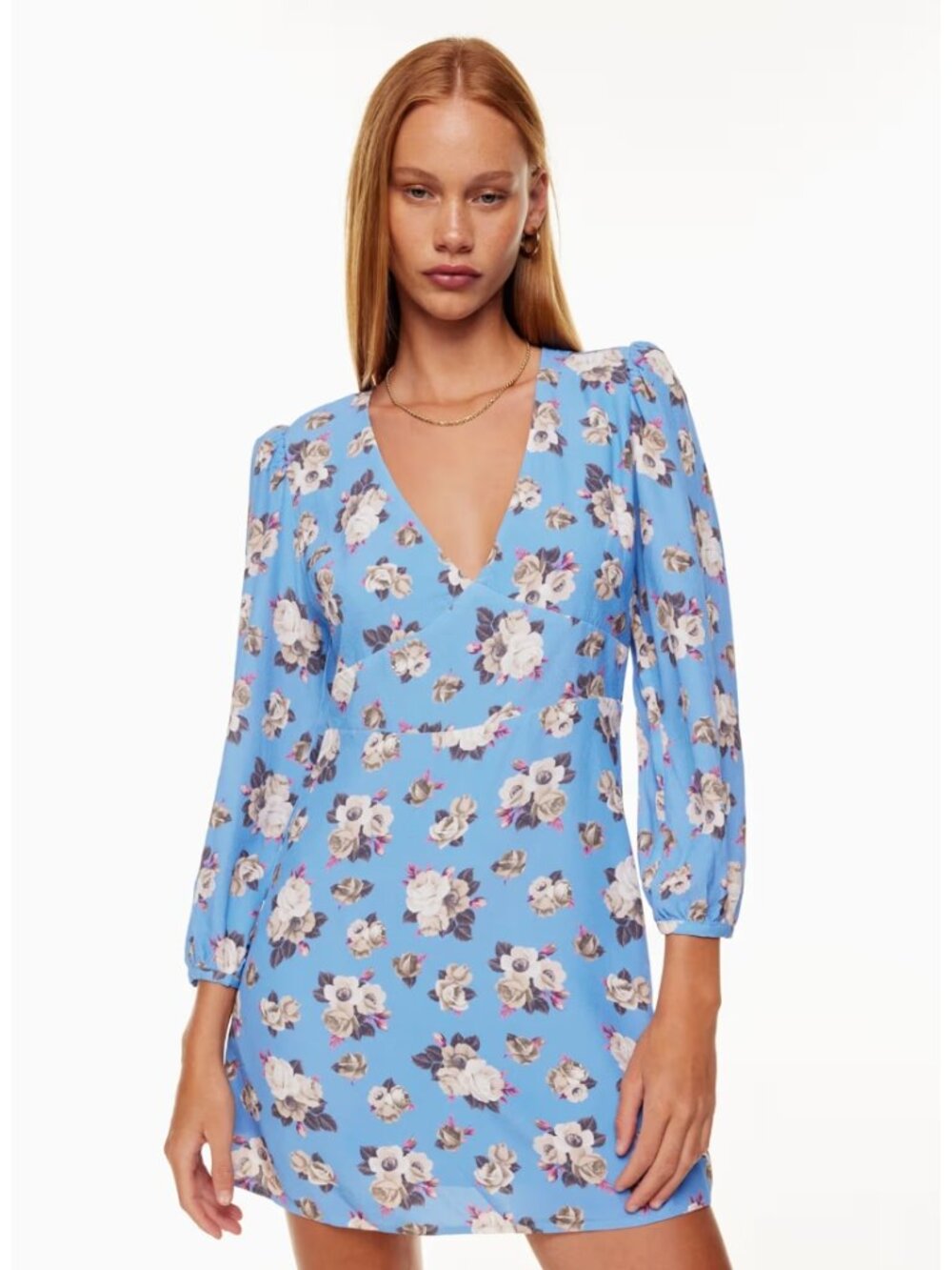 NWT  Aritiza Sunday Best Grayson Dress V-neck Mini Dress Blue Floral Size 6